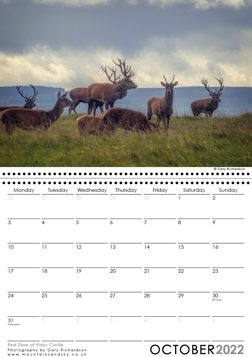 Barnard Castle 2022 Calendar •